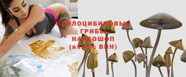a pvp Белоозёрский
