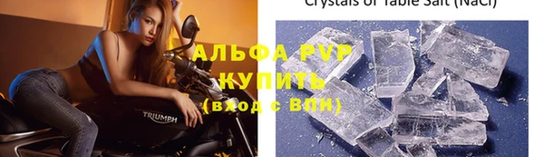 ГАЛЛЮЦИНОГЕННЫЕ ГРИБЫ Белокуриха