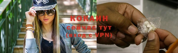 ГАЛЛЮЦИНОГЕННЫЕ ГРИБЫ Белокуриха