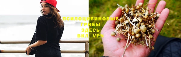 a pvp Белоозёрский