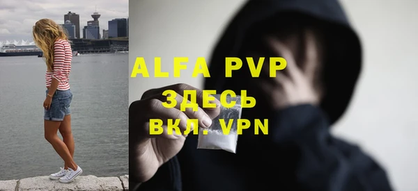 ГАЛЛЮЦИНОГЕННЫЕ ГРИБЫ Белокуриха
