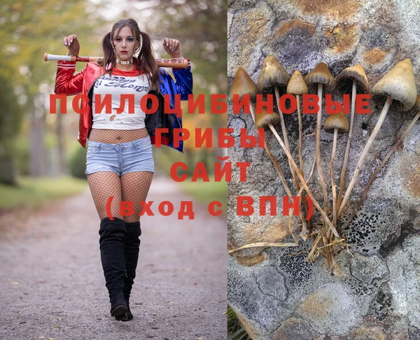 a pvp Белоозёрский