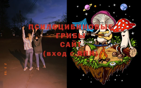 ГАЛЛЮЦИНОГЕННЫЕ ГРИБЫ Белокуриха