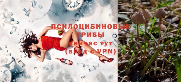 ГАЛЛЮЦИНОГЕННЫЕ ГРИБЫ Белокуриха