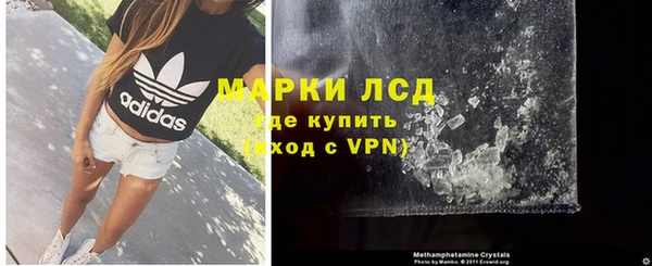 ГАЛЛЮЦИНОГЕННЫЕ ГРИБЫ Белокуриха