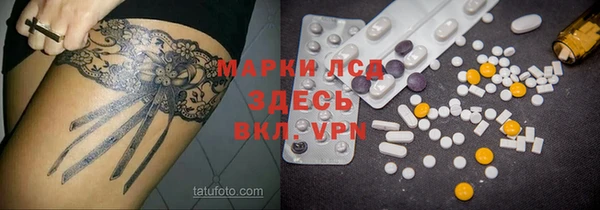 ГАЛЛЮЦИНОГЕННЫЕ ГРИБЫ Белокуриха