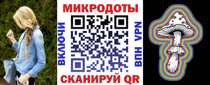 Галлюциногенные грибы Psilocybe Добрянка